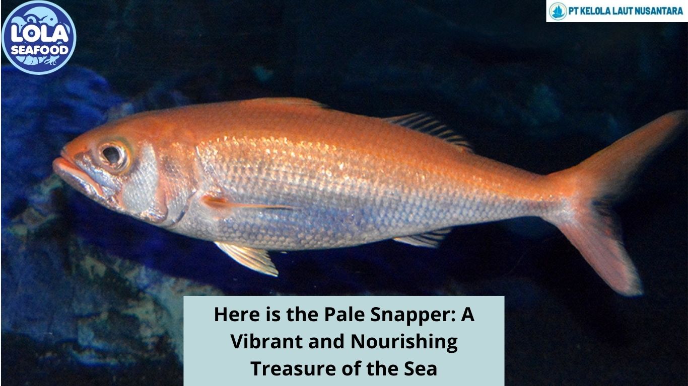 Here is the Pale Snapper: A Vibrant and Nourishing Treasure of the Sea